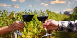 Verre de vin rouge dans les vignes